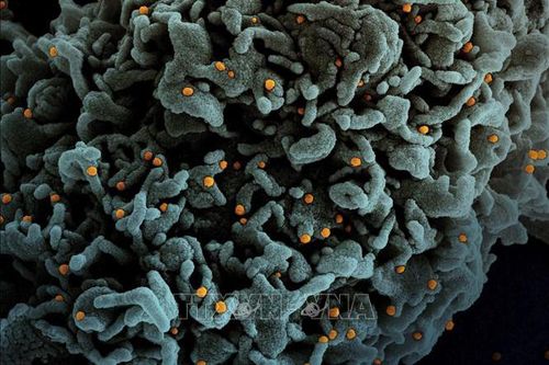 Các biến thể của virus SARS-CoV-2 có ở nhiều quốc gia và vùng lãnh thổ hơn