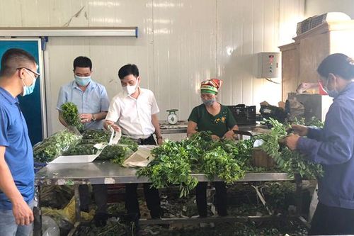 'Luồng xanh' cho nông sản
