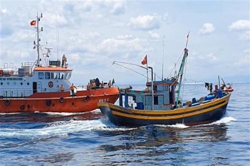 Bắt giữ tàu giã cào khai thác thủy sản trái phép