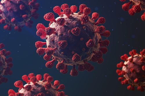 Thêm biến chủng đáng ngại của virus corona xuất hiện ở châu Mỹ