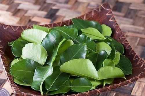 Lá chanh ở Việt Nam mọc đầy vườn, mang sang nước ngoài bán 6,35 triệu đồng/kg