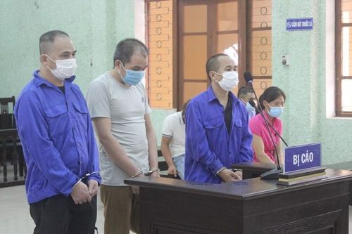 Cao Bằng: Mua bán trái phép chất ma túy, 3 đối tượng lĩnh 60 năm tù giam