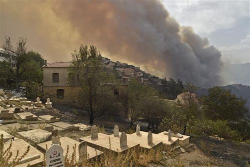 Algeria bắt giữ 22 nghi phạm gây ra thảm họa cháy rừng