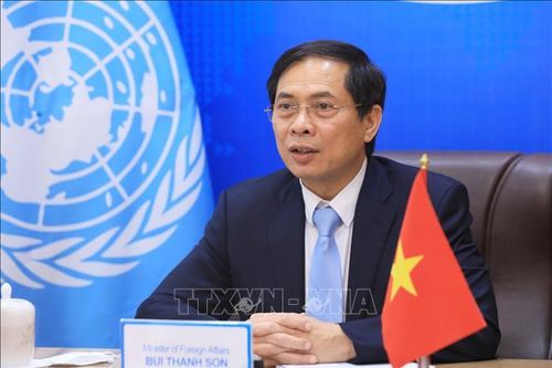 Việt Nam coi trọng quan hệ hợp tác tốt đẹp với ESCAP