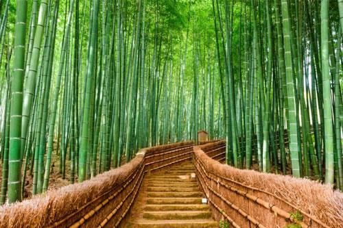 Những địa điểm nghỉ dưỡng kỳ lạ nhất trên thế giới