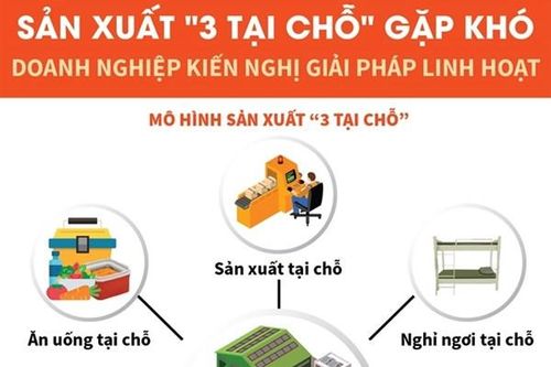 Một số kiến nghị của doanh nghiệp về sản xuất '3 tại chỗ'