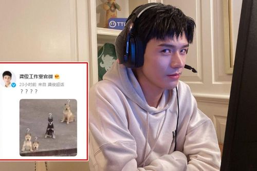 Cung Tuấn 'cạn lời' khi bị tố đi 'cửa sau' vì chưa tốt nghiệp cấp 3 đã vào đại học