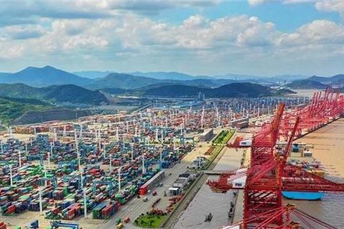 Vận tải biển lại thêm cú sốc khi cảng lớn nhất tạm dừng