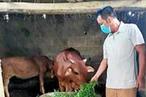 Văn Quan: Nhân rộng mô hình giảm nghèo hiệu quảTin khácKết nối các nguồn lực chuẩn bị cơ sở vật chất cho năm học mơíDanh sách cá nhân dự kiến đề nghị xét tặng danh hiệu 'Công dân Lạng Sơn ưu tú' lần thứ nhất, năm 2021