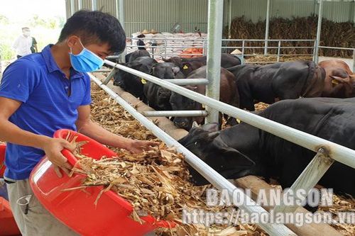 Chủ động rà soát, thẩm định và hỗ trợ cho lao động tự doTin khácKết nối các nguồn lực chuẩn bị cơ sở vật chất cho năm học mơíDanh sách cá nhân dự kiến đề nghị xét tặng danh hiệu 'Công dân Lạng Sơn ưu tú' lần thứ nhất, năm 2021
