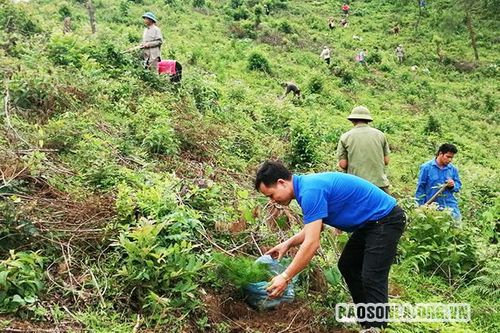Thi đua '65 ngày cao điểm' chào mừng Ngày truyền thống Hội LHTN Việt Nam