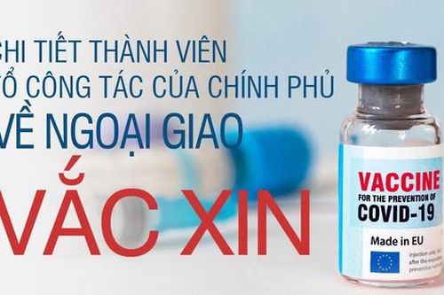 Chi tiết nhân sự Tổ công tác của Chính phủ về ngoại giao vắc xin