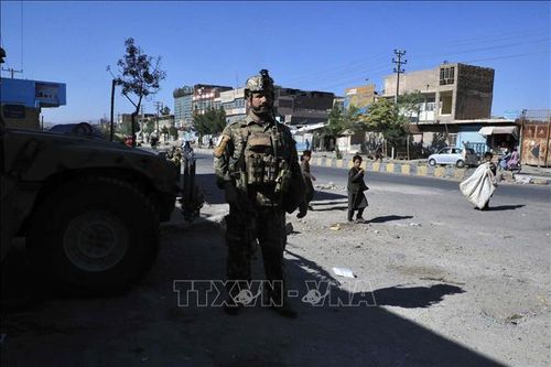 Anh không xem xét can thiệp quân sự vào Afghanistan