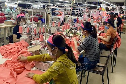 Thừa Thiên - Huế tiếp sức cho người lao động vượt khó, ổn định cuộc sống
