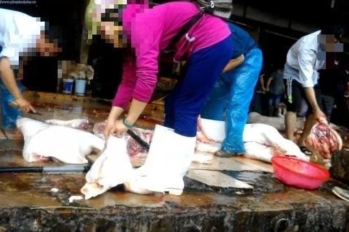 Hà Nội thông báo khẩn tìm người đến lò mổ Minh Hiền liên quan 2 ca F0