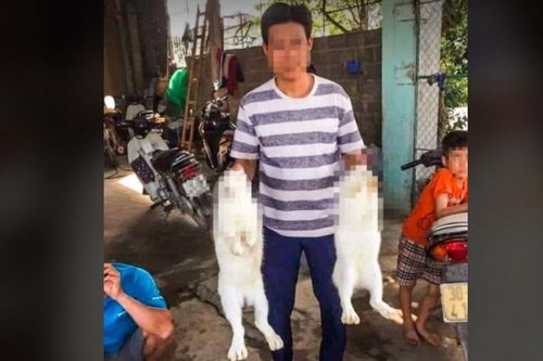 Phát hiện thi thể người đàn ông trong bao tải dưới ao sau 4 ngày mất tích