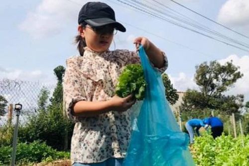 Bé lớp 4 mua 100 thùng mì ủng hộ đồng bào DTTS khu cách ly