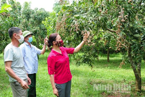 Xích Thổ: Phát huy vai trò tiên phong, gương mẫu của đảng viên