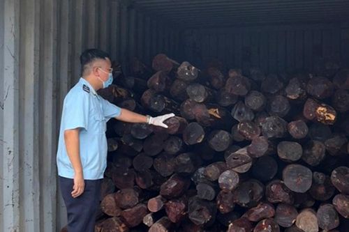 Ngụy trang tinh vi để vận chuyển gần chục tấn gỗ quý