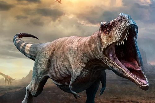 Tiết lộ sốc: Quái vật T-rex thực chất chỉ là loài chuyên 'cắn trộm'?