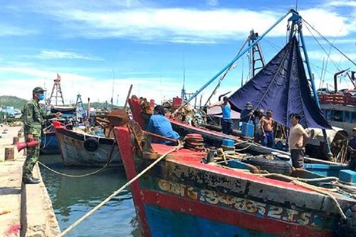 Quảng Ngãi: Hơn 300 ngư dân đòi tự cách ly y tế ngay tại tàu cá