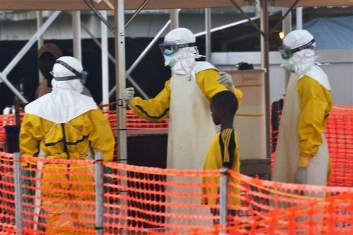 Côte d'Ivoire phát hiện ca nhiễm virus Ebola đầu tiên trong 25 năm qua