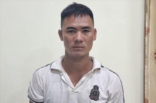 Bắt nghi phạm giết người, phân xác nạn nhân dã man tại Ứng Hòa