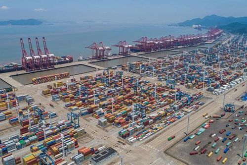 Cảng Trung Quốc đóng ga vì COVID-19 khiến giới vận tải biển lo lắng