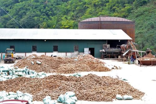 Xử lý cơ sở gây ô nhiễm môi trường