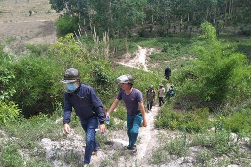 Hà Tây nỗ lực giữ rừng