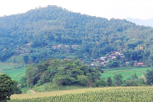 Xanh tươi Bản Mế