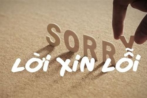 Văn hóa xin lỗi