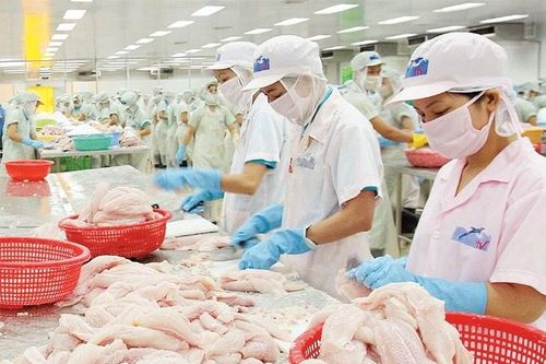 Nông nghiệp phía nam: Khẩn trương gỡ vướng thu hoạch và tiêu thụ