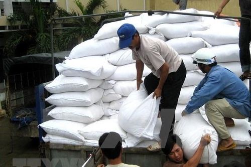 Hỗ trợ gạo các địa phương thực hiện giãn cách xã hội