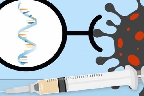 Từng bị chối bỏ, công nghệ mRNA lại 'đắt khách' đầu tư nhờ vaccine Covid-19