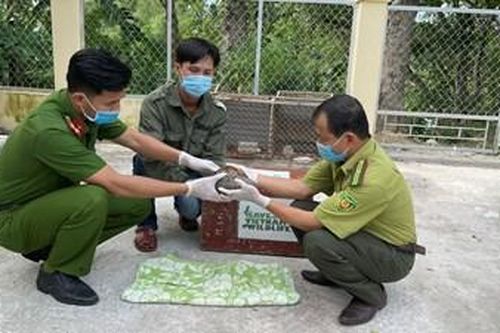 Hai em học sinh tự giác giao nộp cá thể Tê tê Java quý hiếm