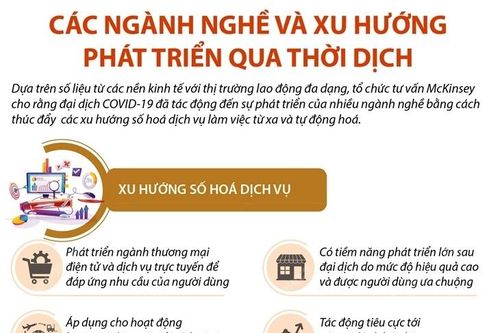Các ngành nghề và xu hướng phát triển qua thời dịch