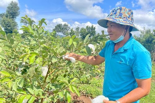 Nông dân Mang Yang tiêu thụ nông sản qua mạng xã hội