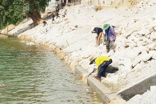 Kinh tế Phong Điền sẵn sàng ứng phó với bão lũ