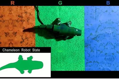 Kinh ngạc robot tắc kè đổi màu theo môi trường