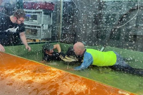 Ông bố dũng cảm chiến đấu với cá sấu để cứu người ở Mỹ