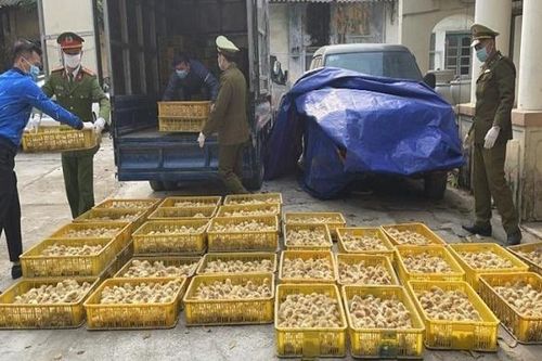 Lần đầu tiên phát hiện chủng virus CGC A/H5N8 xâm nhiễm từ nước ngoài
