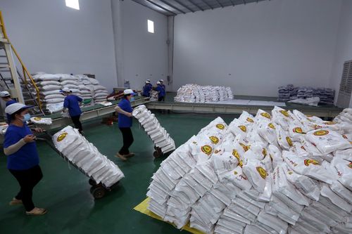 Kiến nghị mở 'luồng xanh' cho vận tải đường thủy tiêu thụ lúa gạo