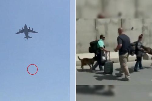 Quân đội Mỹ bị chỉ trích vì ưu tiên sơ tán chó nghiệp vụ khỏi Afghanistan