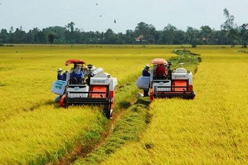 Nông nghiệp cần chuyển từ tư duy sản xuất đơn thuần sang làm kinh tế