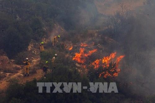 Hy Lạp ghi nhận thêm nhiều đám cháy rừng gần Athens