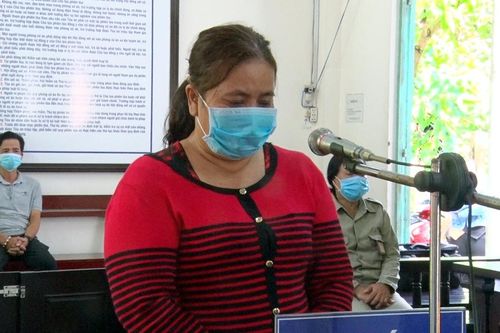 Tuyên phạt người phụ nữ 7 tháng tù giam về tội chống người thi hành công vụ