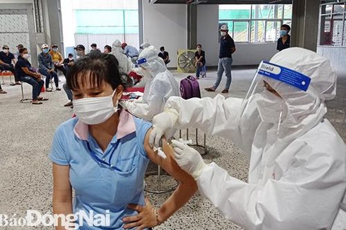 Đồng Nai tiếp tục đề nghị hỗ trợ 120 giáo viên, sinh viên tham gia chống dịch