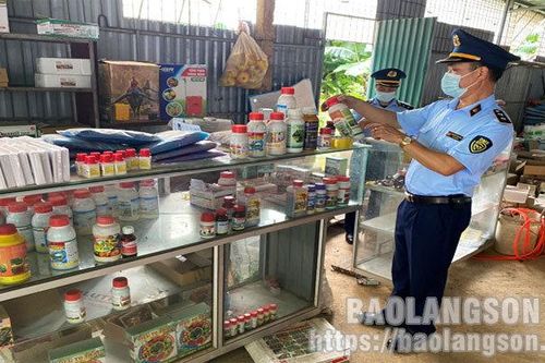Phát hiện hộ kinh doanh bày bán hơn 400 đơn vị sản phẩm thuốc bảo vệ thực vật quá hạn sử dụngTin khácCách mạng Tháng Tám thành công - đánh dấu thắng lợi đầu tiên cho con đường Hồ Chí Minh lựa chọnKết nối các nguồn lực chuẩn bị cơ sở vật chất cho năm học m