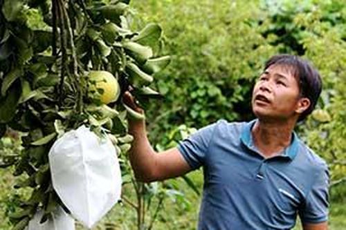 Đổi thay trên mảnh đất Trấn NinhTin khácKết nối các nguồn lực chuẩn bị cơ sở vật chất cho năm học mơíDanh sách cá nhân dự kiến đề nghị xét tặng danh hiệu 'Công dân Lạng Sơn ưu tú' lần thứ nhất, năm 2021